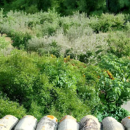 Charmante A Avec Piscine Privee Et Jardin * Dauphin